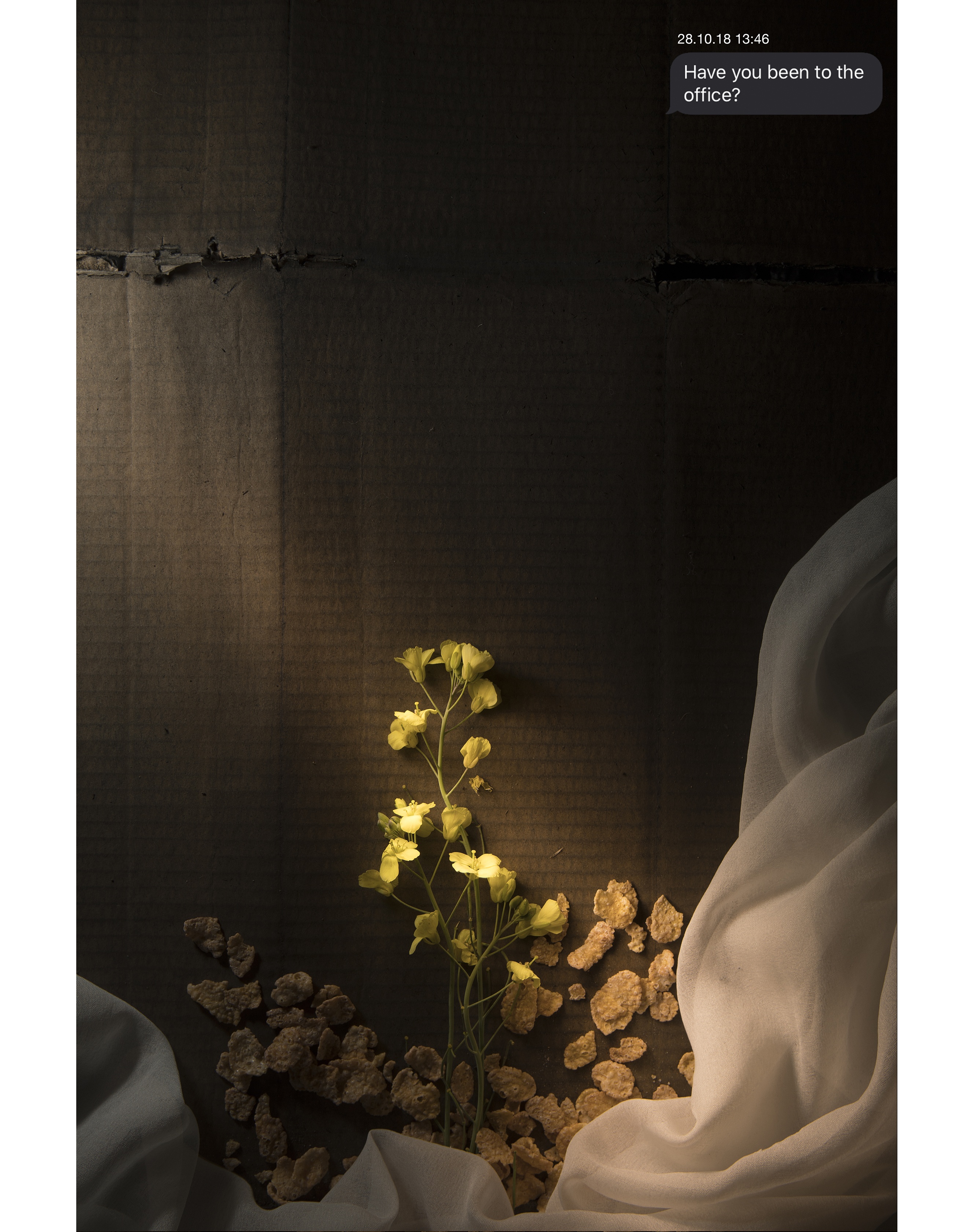 Flowery and innocent